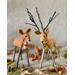 Acorn with his best girl Flora. Buy two deer and receive 10% discount. 